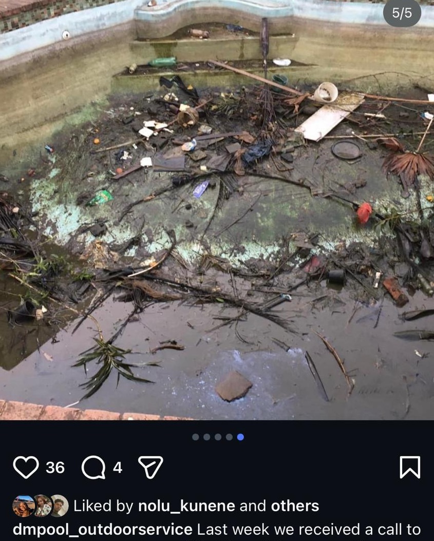 2-Year Neglected Pool Revival - Before