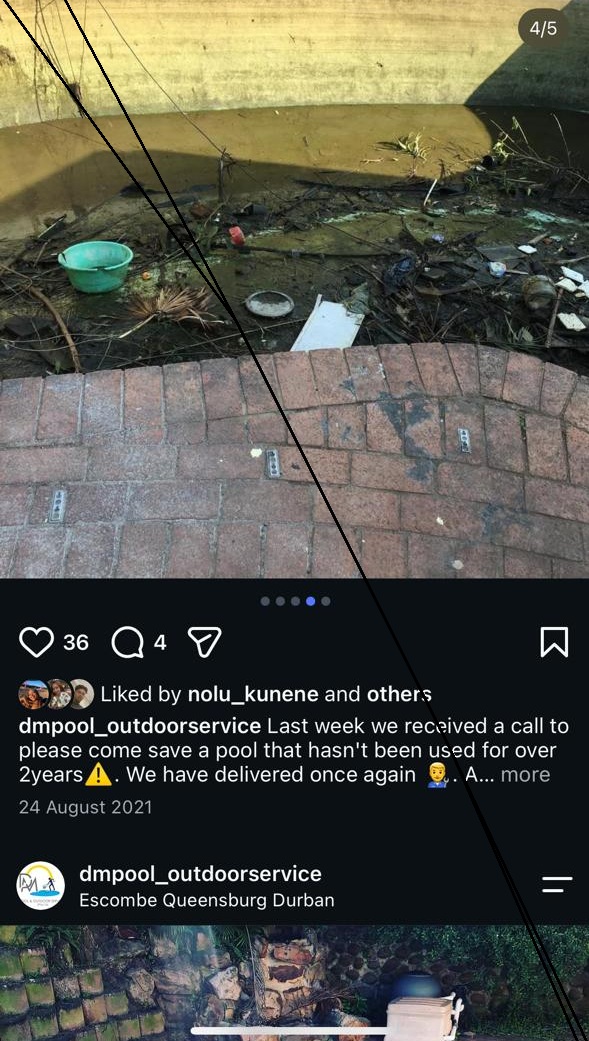 2-Year Neglected Pool Revival - Before